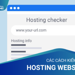 ​Dành cho người mới: Tổng hợp các hình thức kiểm tra Hosting Websi